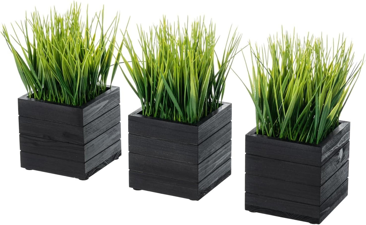 Faux Tabletop Plants in Glass Cube Pots, Set of 3 | Modern Indoor Greenery Decor