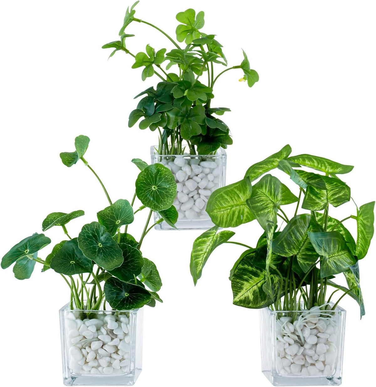 Faux Tabletop Plants in Glass Cube Pots, Set of 3 | Modern Indoor Greenery Decor