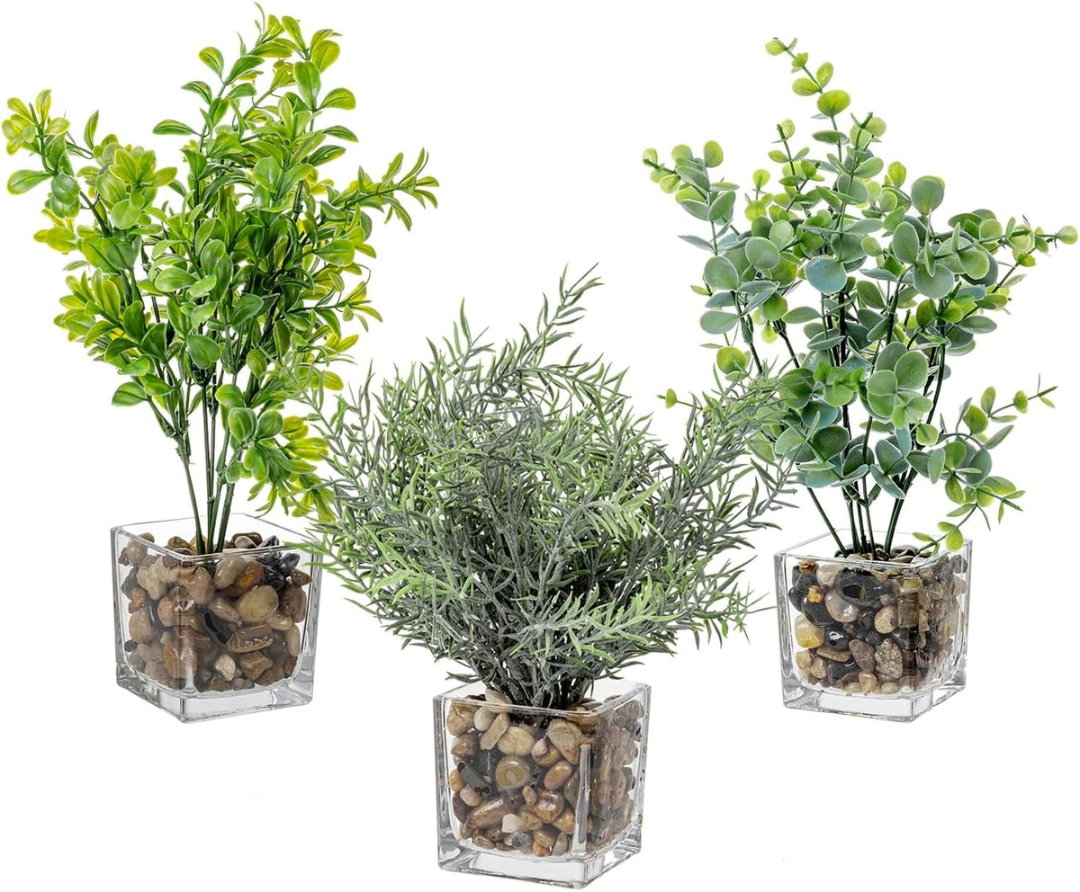 Faux Tabletop Plants in Glass Cube Pots, Set of 3 | Modern Indoor Greenery Decor