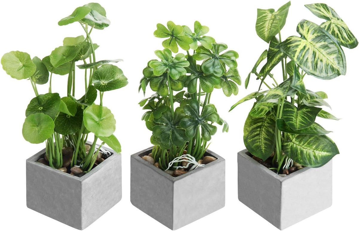 Faux Tabletop Plants in Glass Cube Pots, Set of 3 | Modern Indoor Greenery Decor