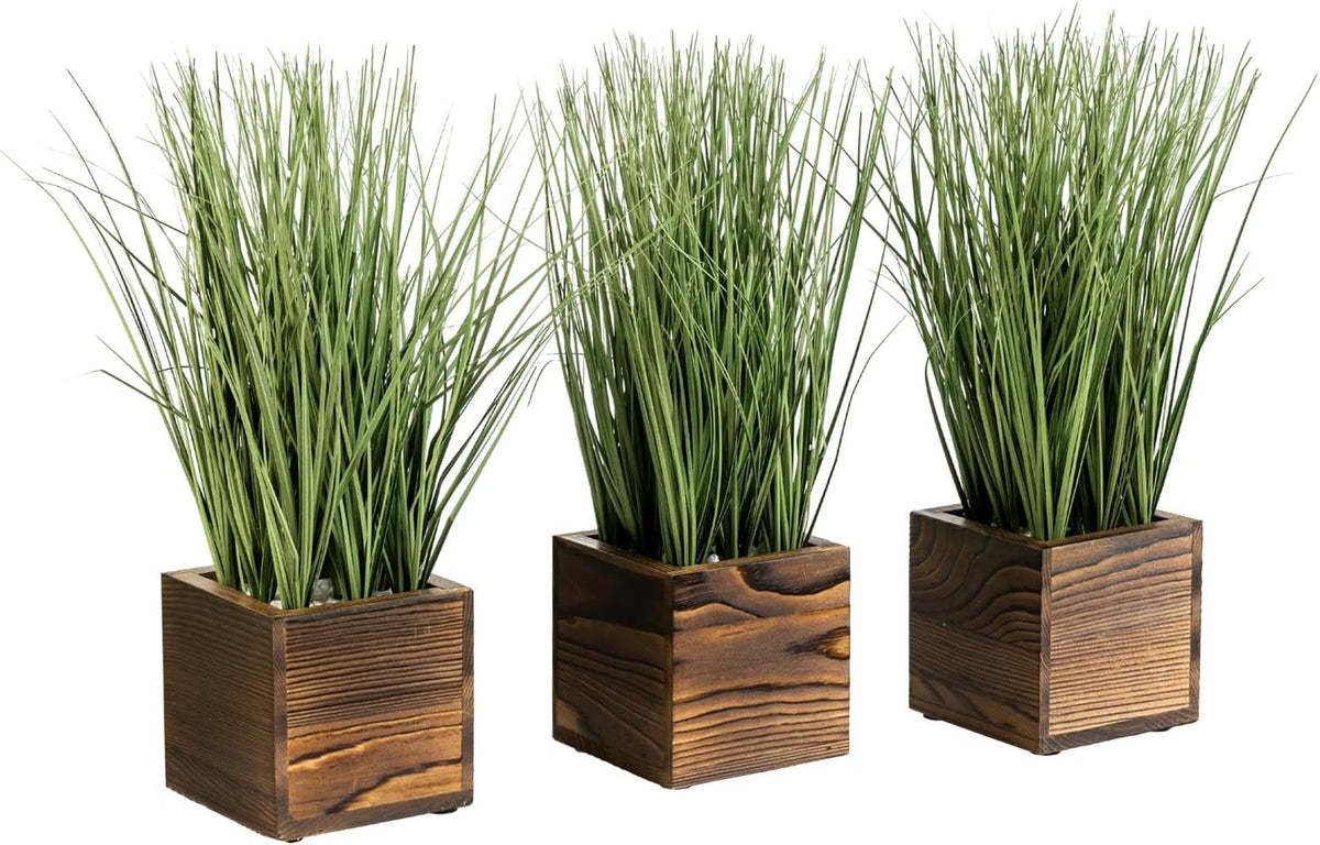 Faux Tabletop Plants in Glass Cube Pots, Set of 3 | Modern Indoor Greenery Decor