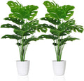 Faux Monstera Deliciosa Plants in Pots, Set of 2 | Tropical Indoor Decor