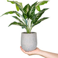 16" Artificial Taro Leaf Potted Plant with Decorative Rocks – Faux Tropical Greenery for Home Decor