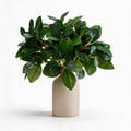 12" Artificial Eucalyptus Plant in Ceramic Vase – Small Faux Greenery for Desk, Shelf & Home Decor