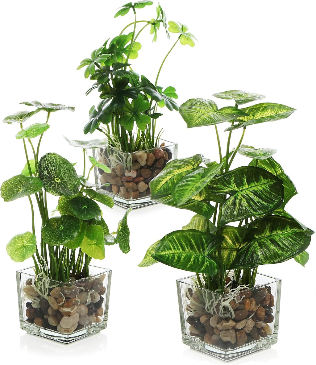 Faux Tabletop Plants in Glass Cube Pots, Set of 3 | Modern Indoor Greenery Decor