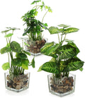 Faux Tabletop Plants in Glass Cube Pots, Set of 3 | Modern Indoor Greenery Decor