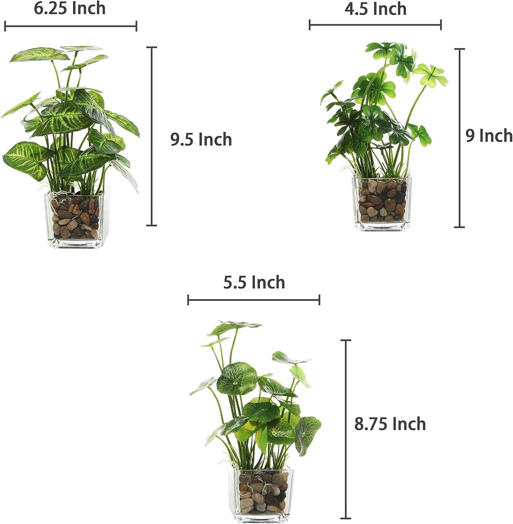 Faux Tabletop Plants in Glass Cube Pots, Set of 3 | Modern Indoor Greenery Decor