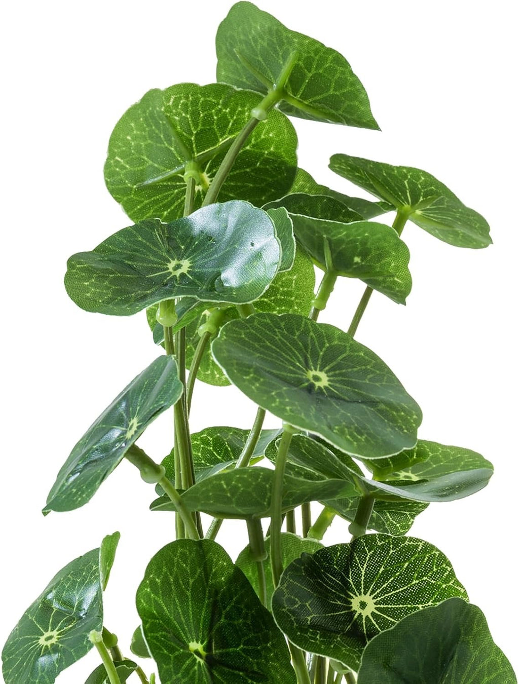 Faux Tabletop Plants in Glass Cube Pots, Set of 3 | Modern Indoor Greenery Decor