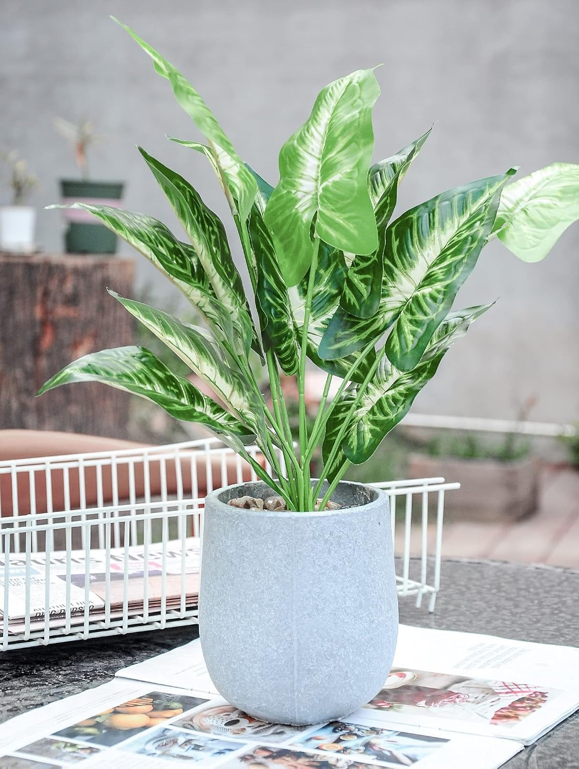 16" Artificial Taro Leaf Potted Plant with Decorative Rocks – Faux Tropical Greenery for Home Decor