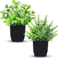 Small Fake Plants, Set of 2 | Faux Potted Indoor Plants for Desk & Office Decor
