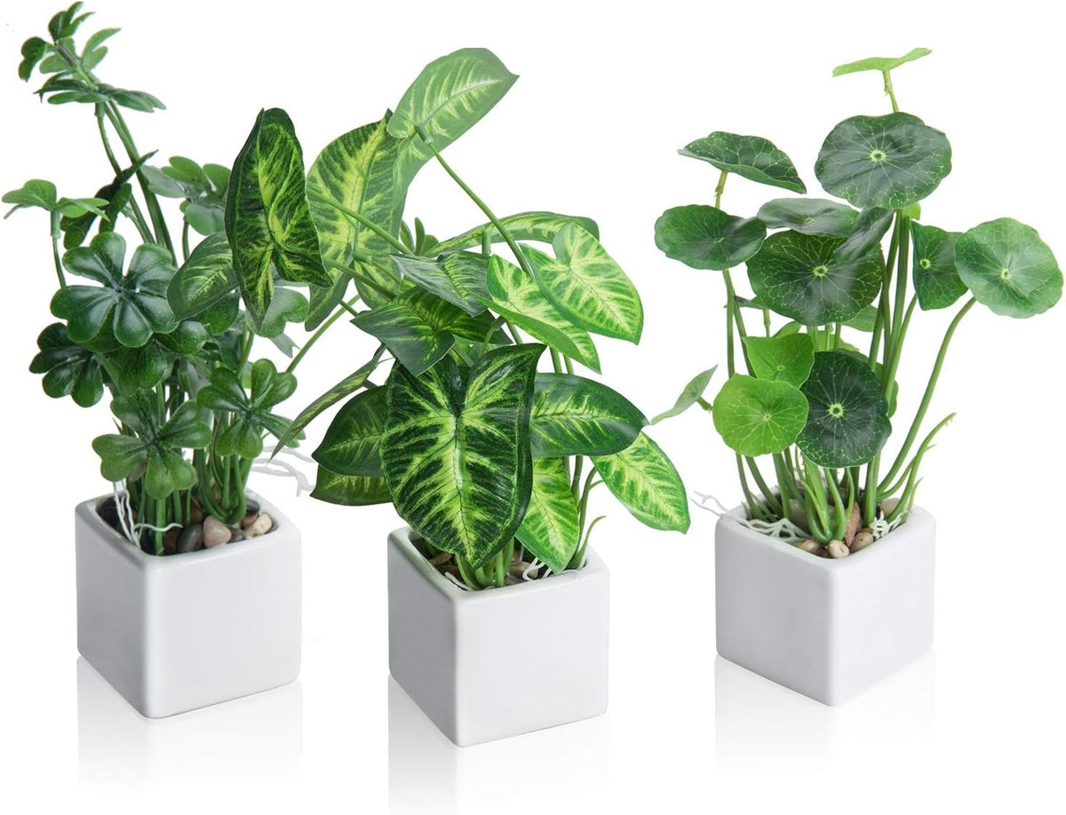 Faux Tabletop Plants in Glass Cube Pots, Set of 3 | Modern Indoor Greenery Decor
